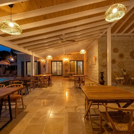 Hatica By Fora Alacati